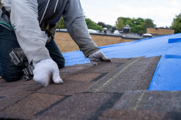 Best Roof Repair Services  in Montz, LA