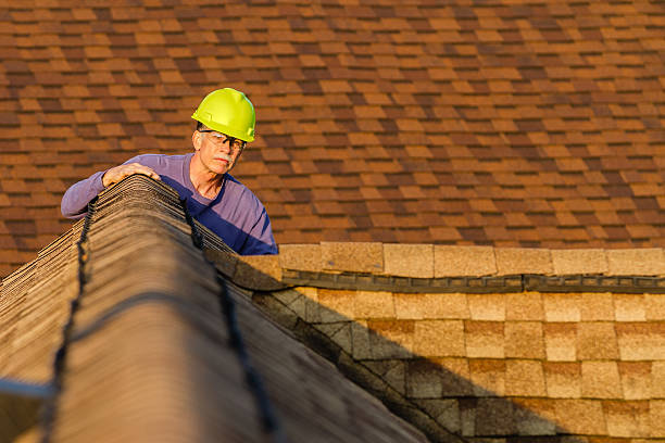 Roof Gutter Cleaning in Montz, LA