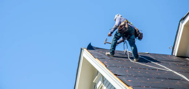 Best Roof Gutter Cleaning  in Montz, LA